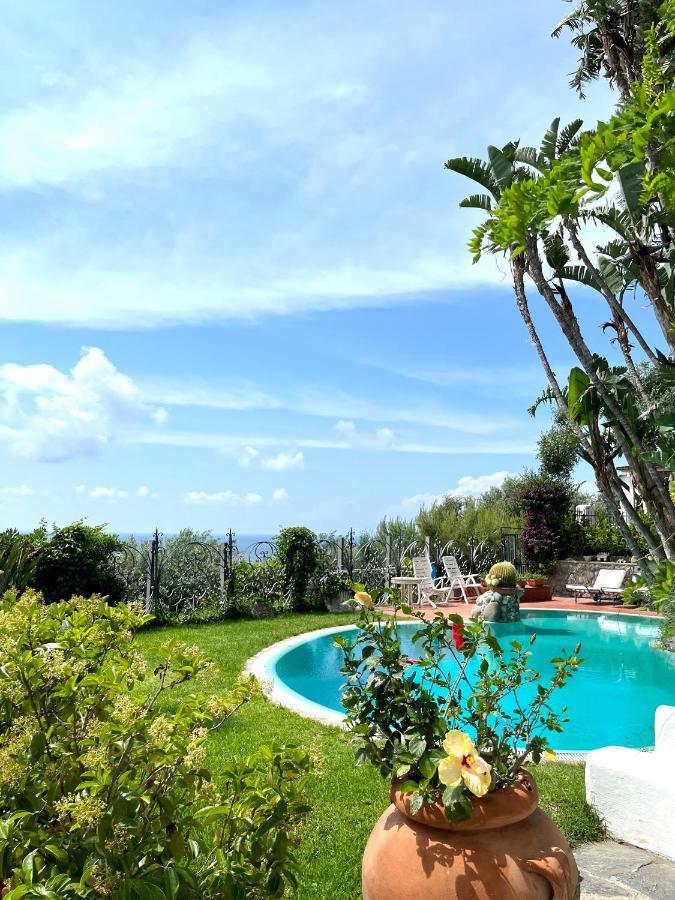 Villa Le Palme Forio  Bagian luar foto