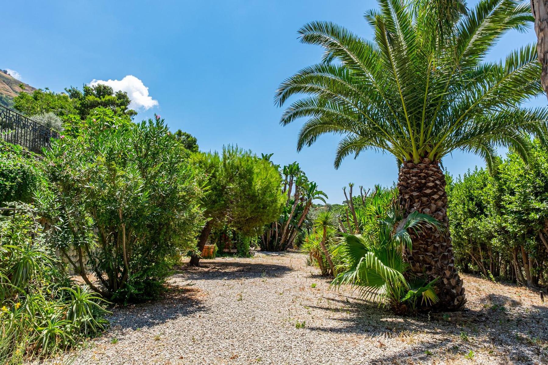 Villa Le Palme Forio  Bagian luar foto