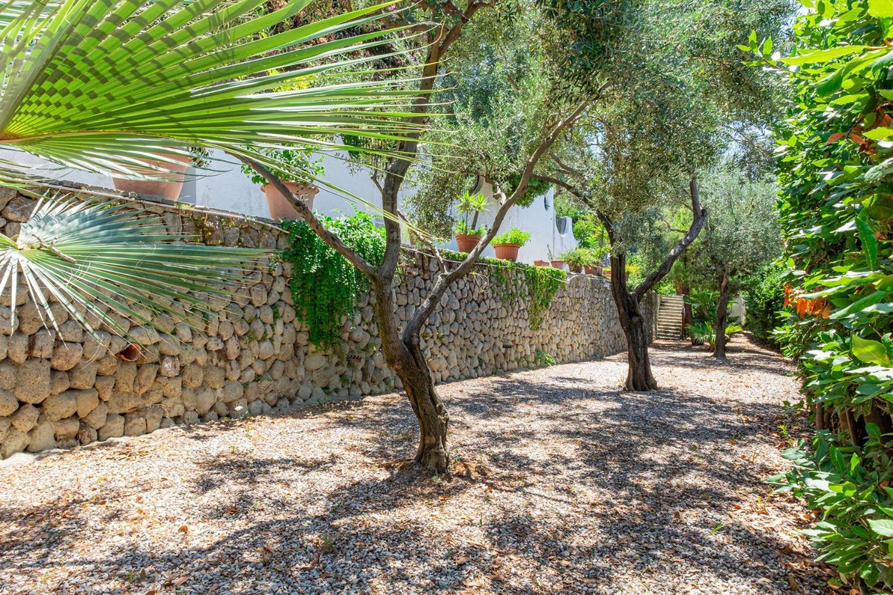 Villa Le Palme Forio  Bagian luar foto