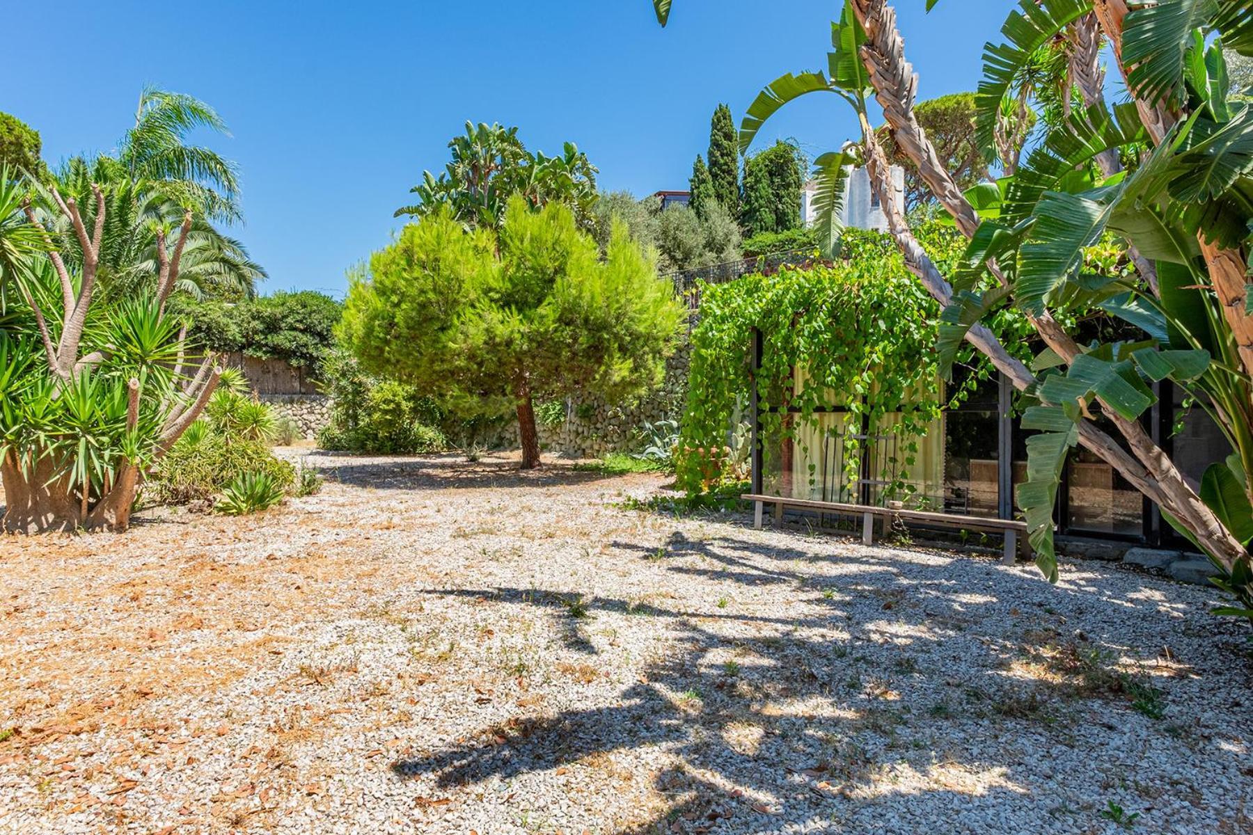 Villa Le Palme Forio  Bagian luar foto